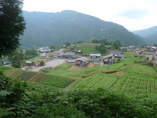 親子自然観察会　種蔵で　ワクワク自然体験　～どんな昆虫や草花に出会えるかな～